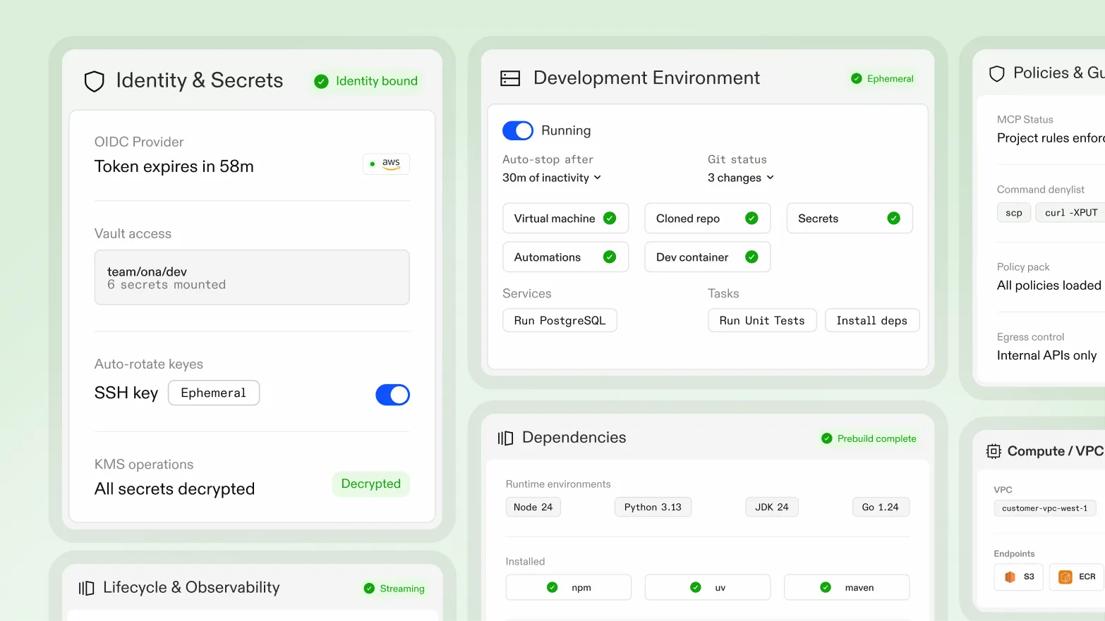 Standardized agent execution environment
